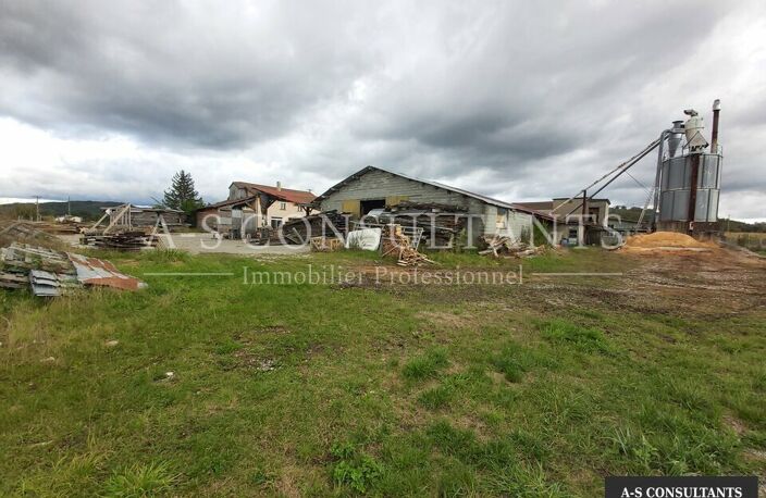 LOCAL D'ACTIVITE A VENDRE — photo 5