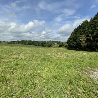 Terrain  55000 €