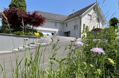 vente maison 980 000 € à proximité de Brunstatt-Didenheim (68350)