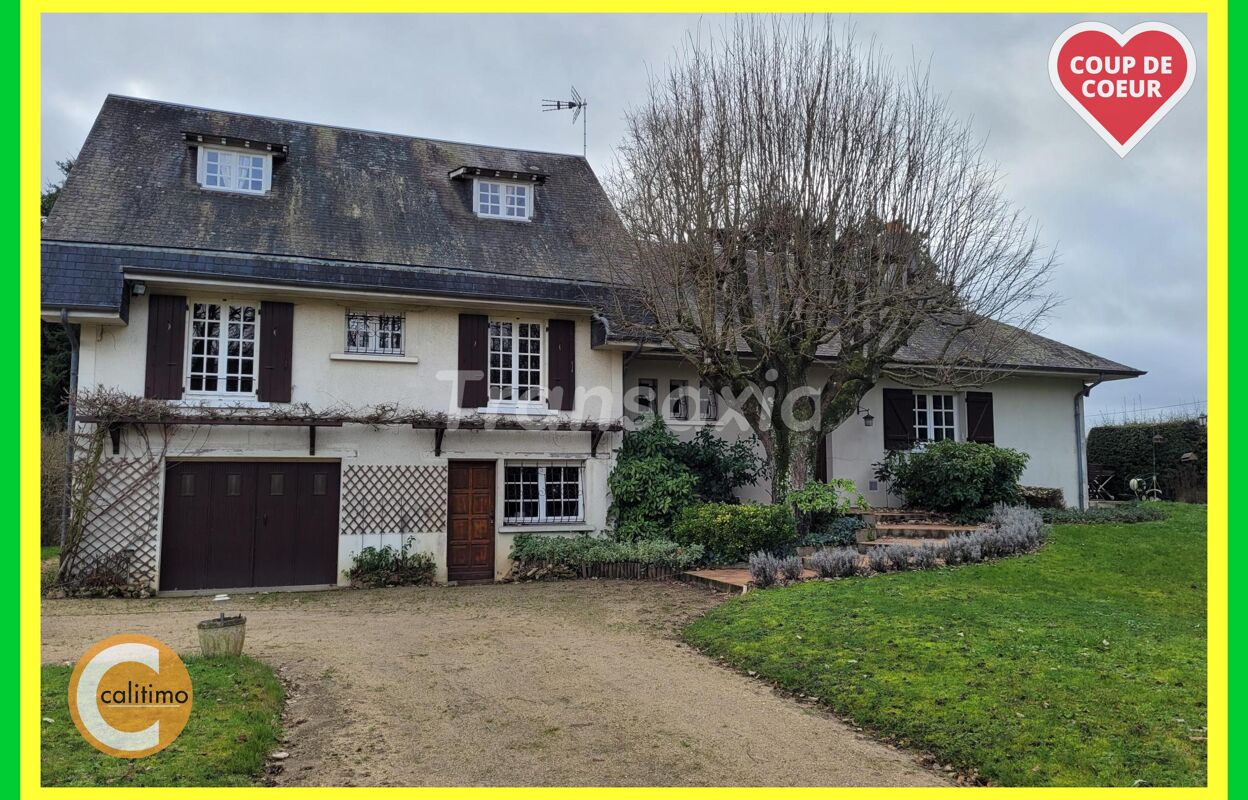 maison 10 pièces 300 m2 à vendre à Villefranche-sur-Cher (41200)
