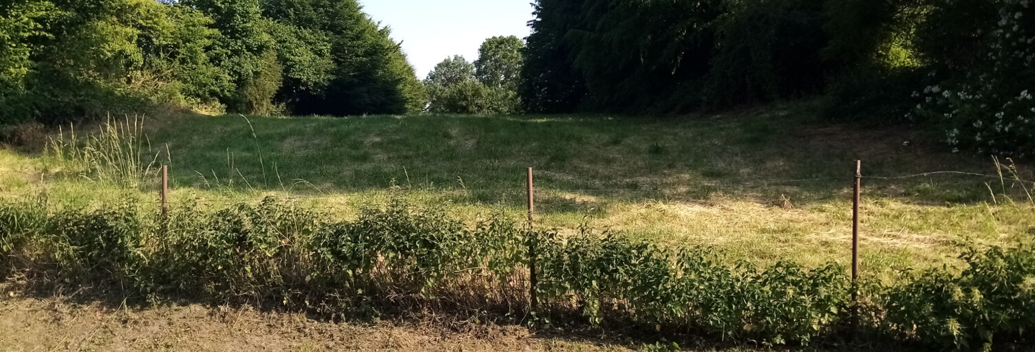 Terrain  10700 m² à vendre à Escarmain (59213)