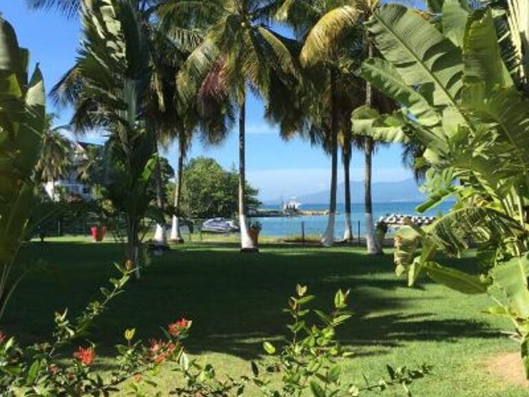 Studio avec vue sur le jardin pour trois personnes, 7 nuits avec — photo 1