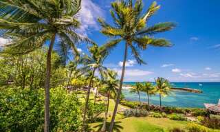 location vacances Appartement 1 Pièce 67 m² à Le Gosier (97190)