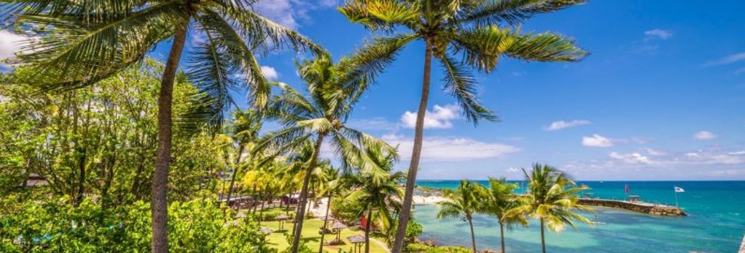 location vacances Appartement 1 Pièce 67 m² à Le Gosier (97190)