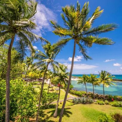 Appartement 1 pièces 2712 €