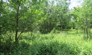 Terrain  1046 m² à vendre à Montdoumerc (46230)