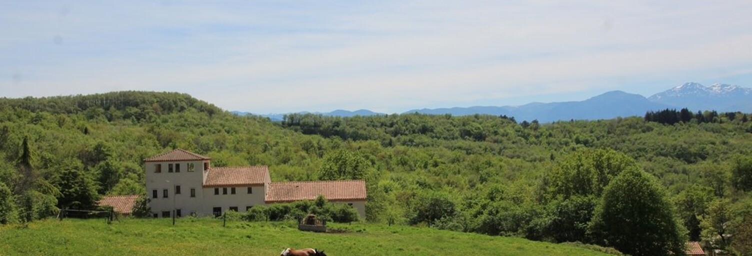 Maison 20 Pièces 750 m² à vendre à Montbel (09600)