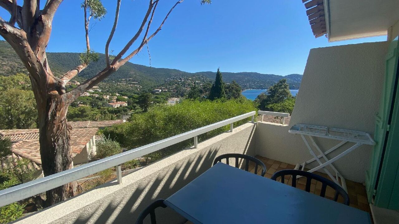 appartement 2 pièces 24 m2 à vendre à Le Lavandou (83980)