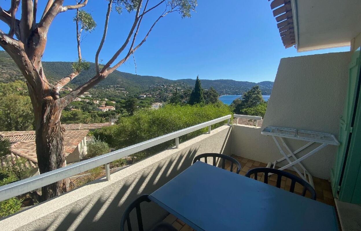 appartement 2 pièces 24 m2 à vendre à Le Lavandou (83980)