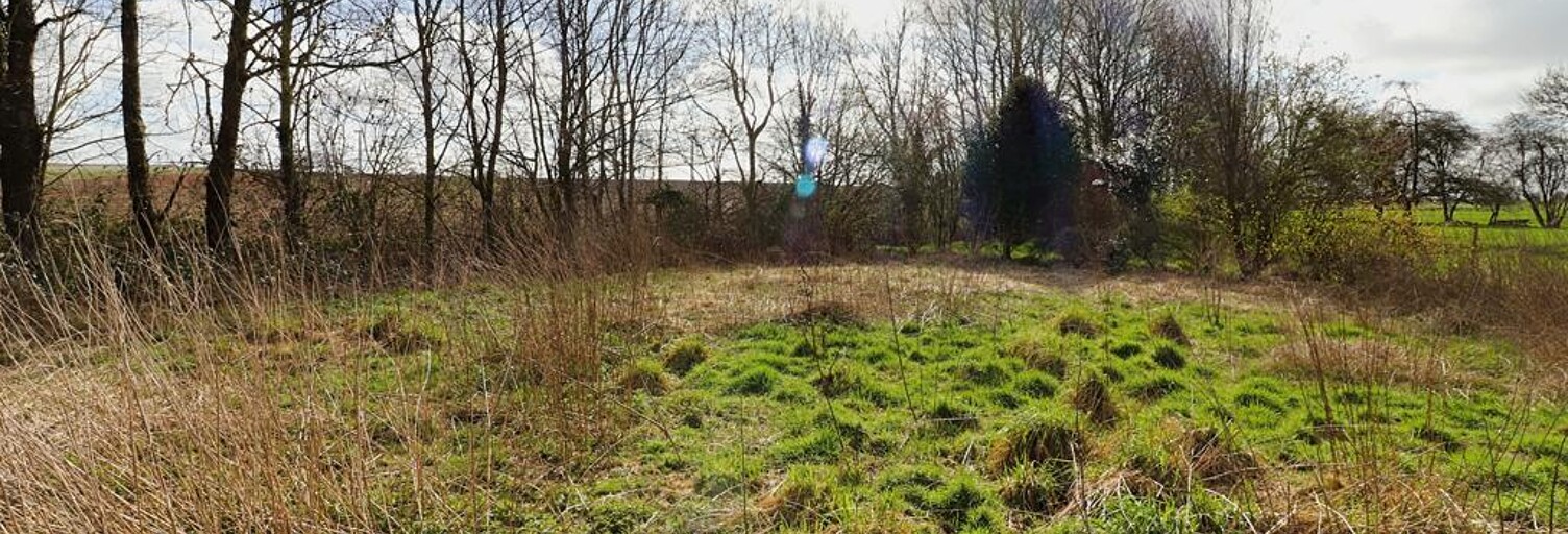 Terrain  1397 m² à vendre à Beauval (80630)