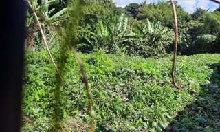 Terrain   m² à vendre à Saint-André (97440)