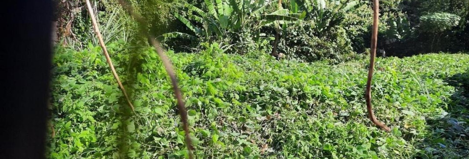 Terrain   m² à vendre à Saint-André (97440)