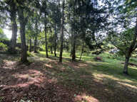 TERRAIN A BATIR BRINON SUR SAULDRE - 2800 m2 — photo 2