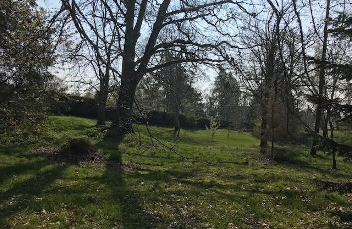 TERRAIN A BATIR BRINON SUR SAULDRE - 2800 m2 — photo 5