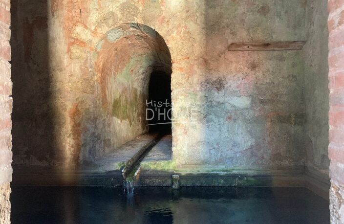 Proche commerces — photo 4