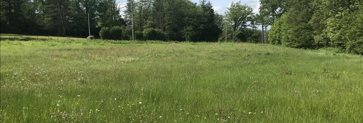 Terrain  5880 m² à vendre à Saint-Laurent-sur-Gorre (87310)