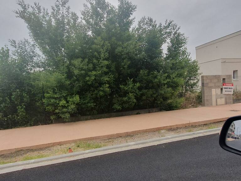34410 Serignan-terrain à batir-jardins de serignan — photo 1