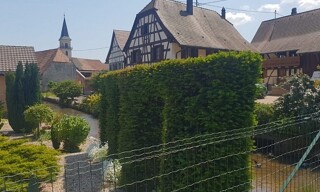Photo N° 31