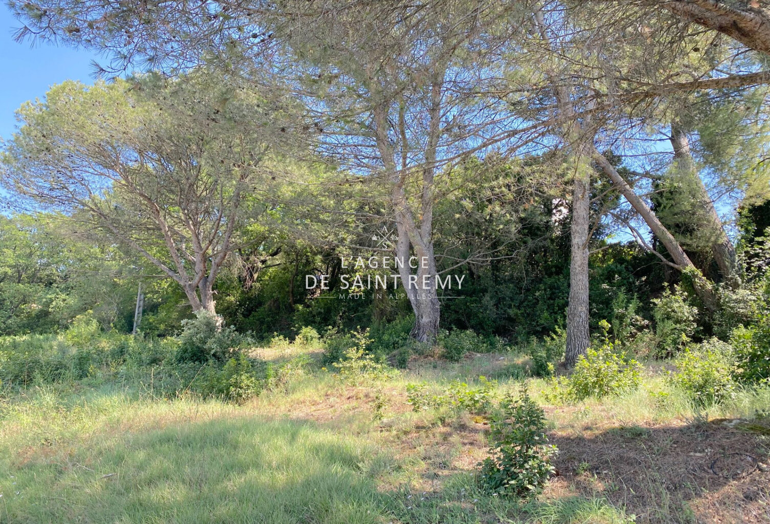 Terrain Constructible de 1500 m² : Votre Projet Immobilier au — photo 1