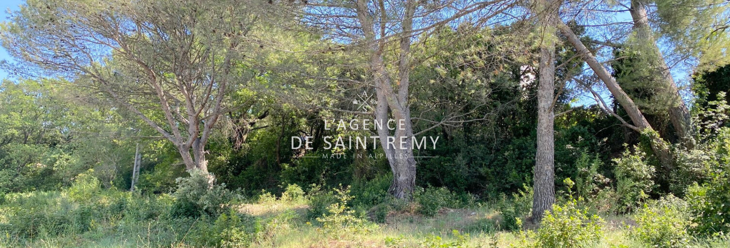 Terrain  1541 m² à vendre à Saint-Rémy-de-Provence (13210)
