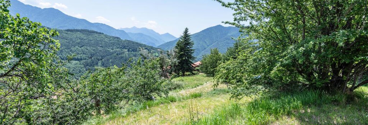 Terrain  4500 m² à vendre à Belvédère (06450)