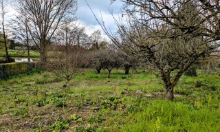 Terrain  1318 m² à vendre à Sainte-Maure-de-Touraine (37800)