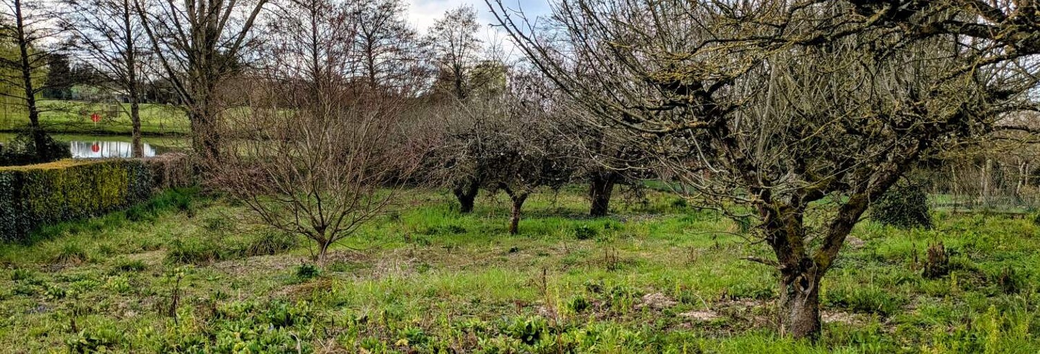 Terrain  1318 m² à vendre à Sainte-Maure-de-Touraine (37800)