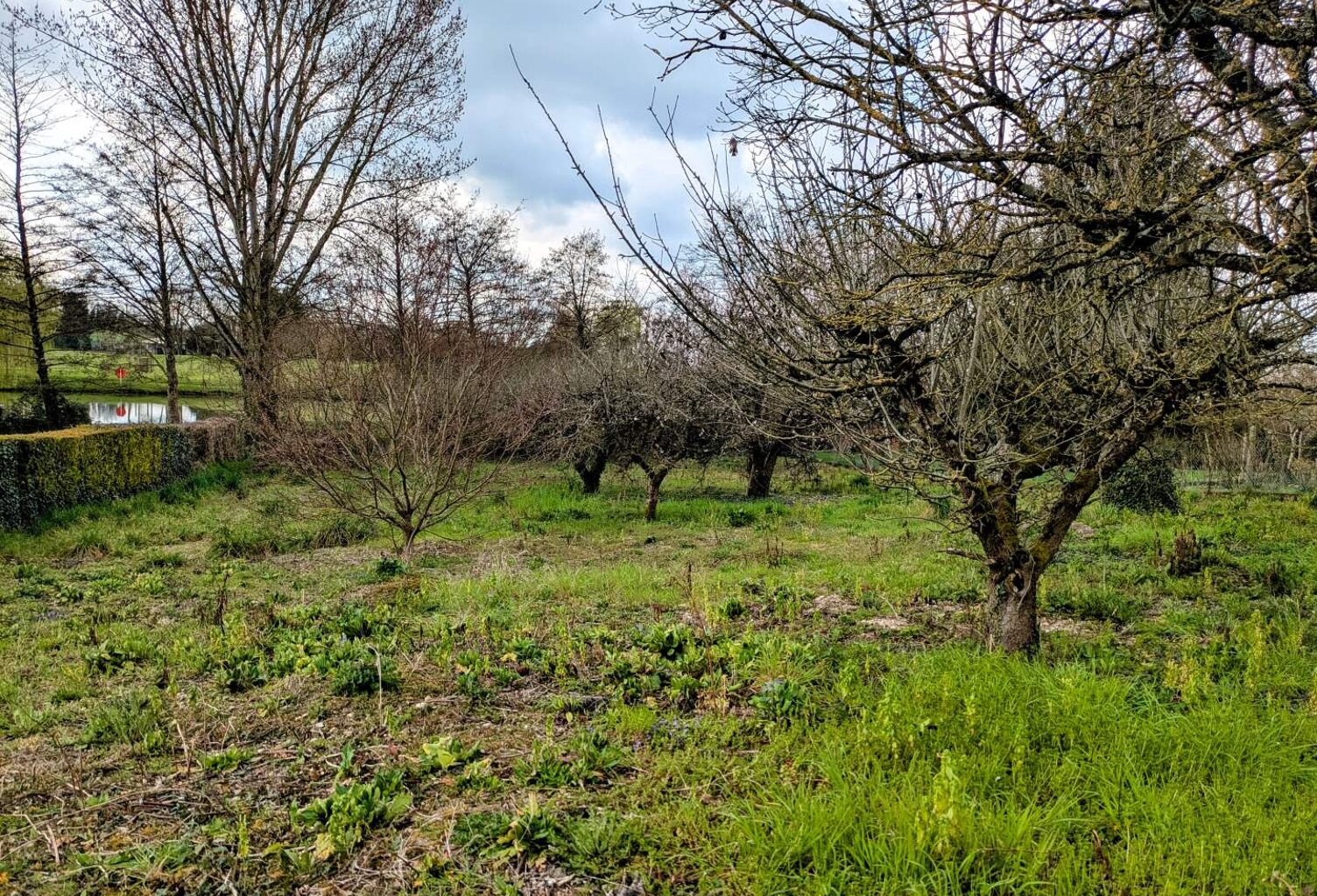 Vente terrain  1318 m² Sainte-Maure-de-Touraine (37800) — photo 1