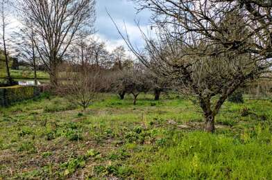 Terrain  52500 €