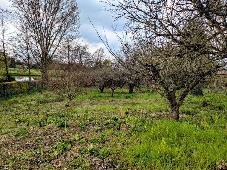Terrain à construire  1318 m²  — photo 1