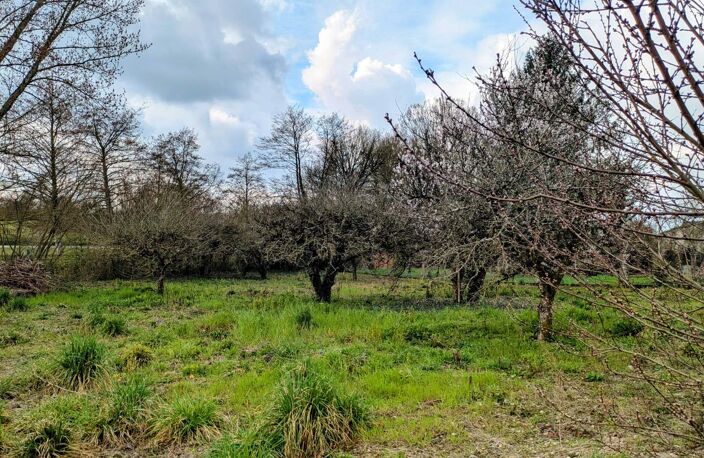 Vente terrain  1318 m² Sainte-Maure-de-Touraine (37800) — photo 3