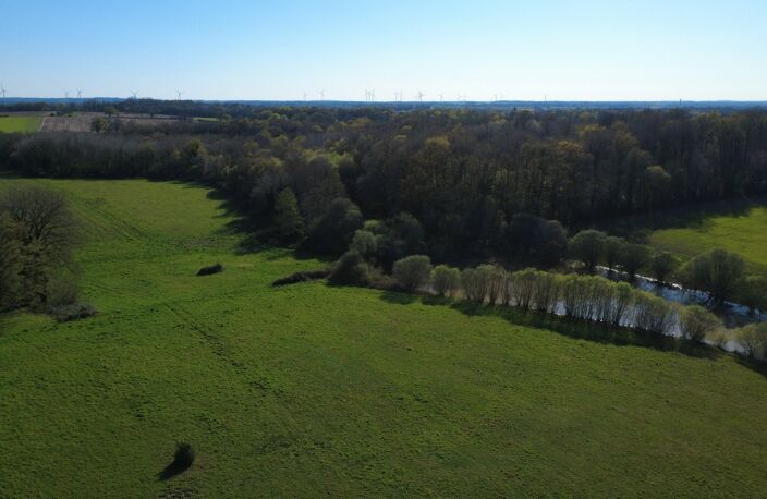 Domaine — photo 4