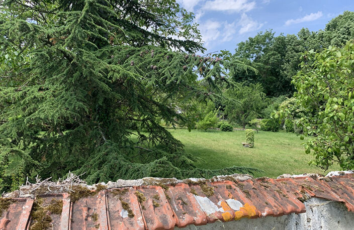 Terrain à bâtir Choisy En Brie 1000 m2 - 32m de Façade — photo 2