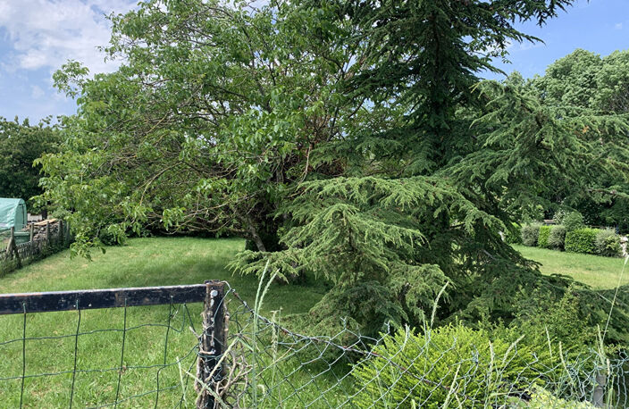 Terrain à bâtir Choisy En Brie 1000 m2 - 32m de Façade — photo 3