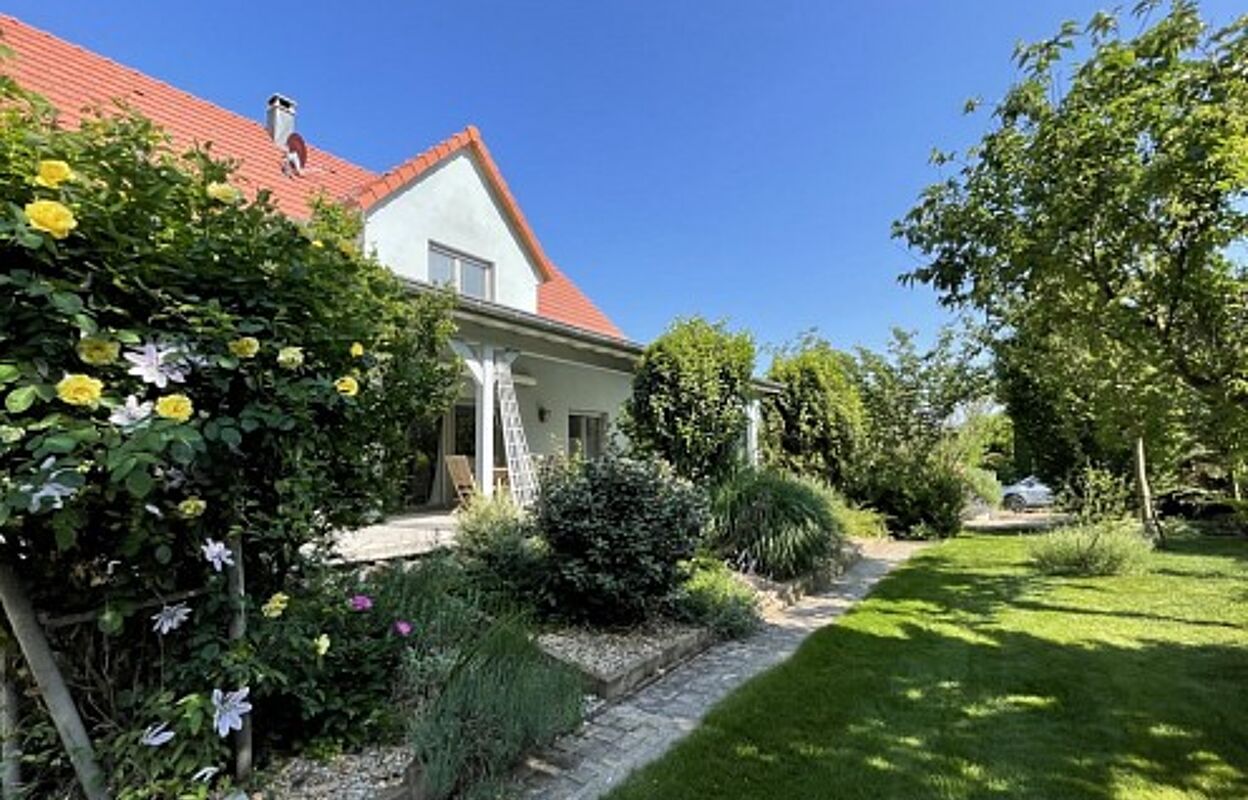 maison 7 pièces 180 m2 à vendre à Feldbach (68640)