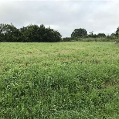 Terrain  56000 €