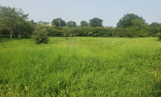 Terrain  2061 m² à vendre à Naucelle (12800)