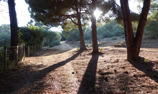 Photo N° 6