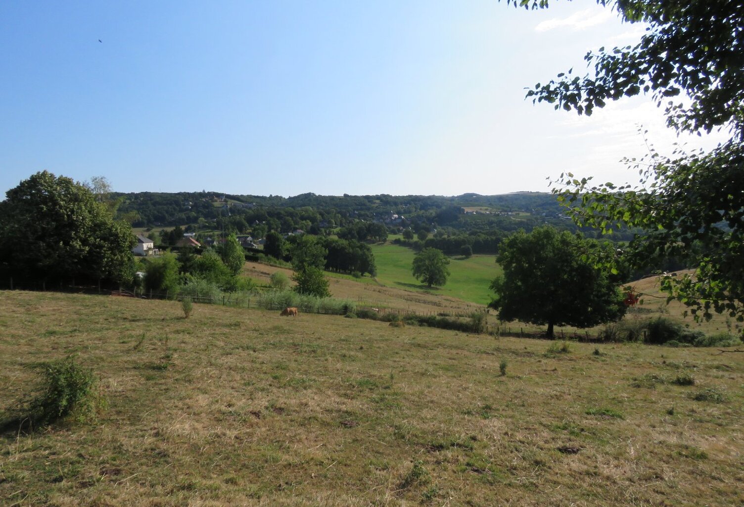 Terrain — photo 1