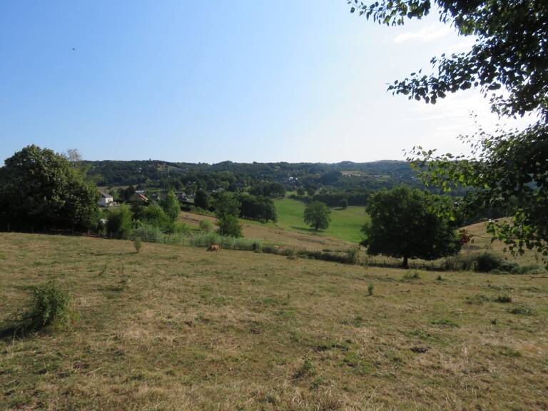 Terrain — photo 1