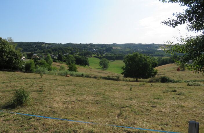 Terrain — photo 2