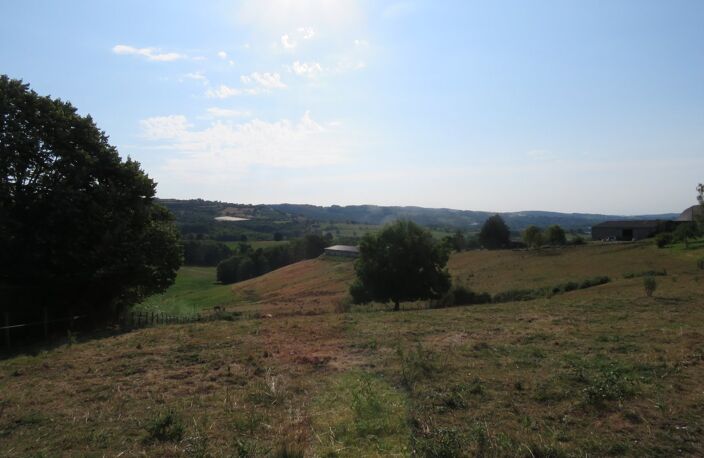 Terrain — photo 4
