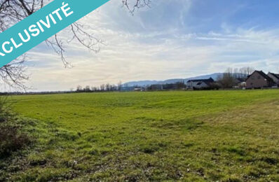 vente terrain 177 000 € à proximité de Goldbach-Altenbach (68760)