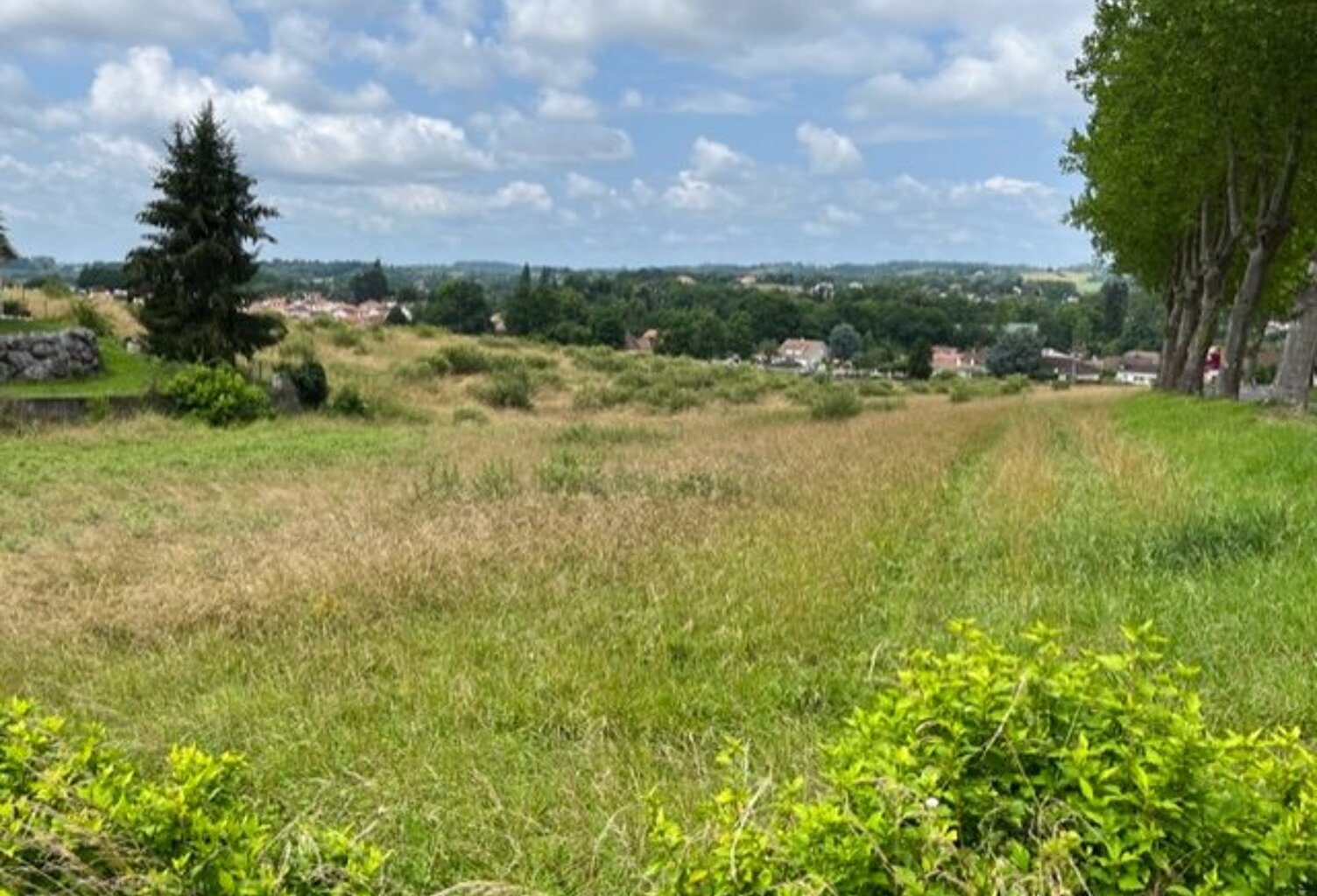 Terrain — photo 1