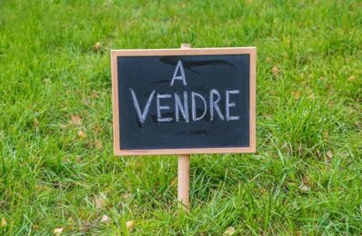 vente terrain 77 700 € à proximité de Villeneuve-sur-Cher (18400)