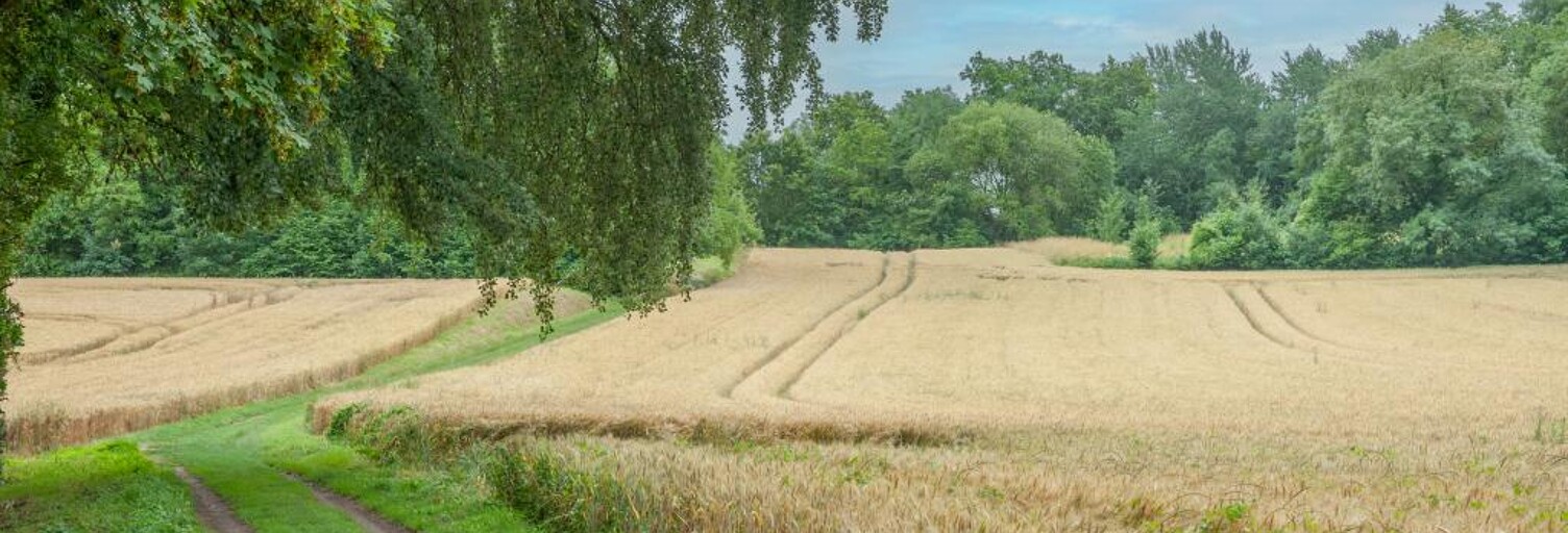 Maison  6460 m² à vendre à Courmelles (02200)