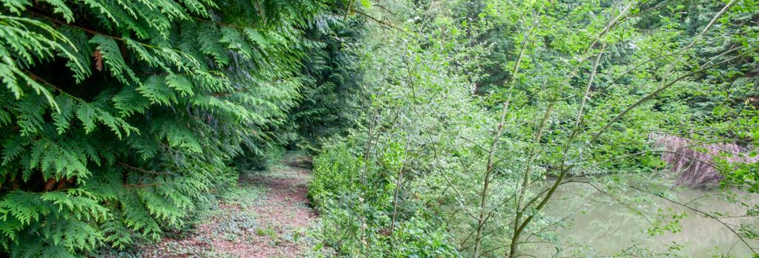 Maison  6460 m² à vendre à Courmelles (02200)