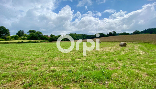 Terrain  à vendre Cescau 64170