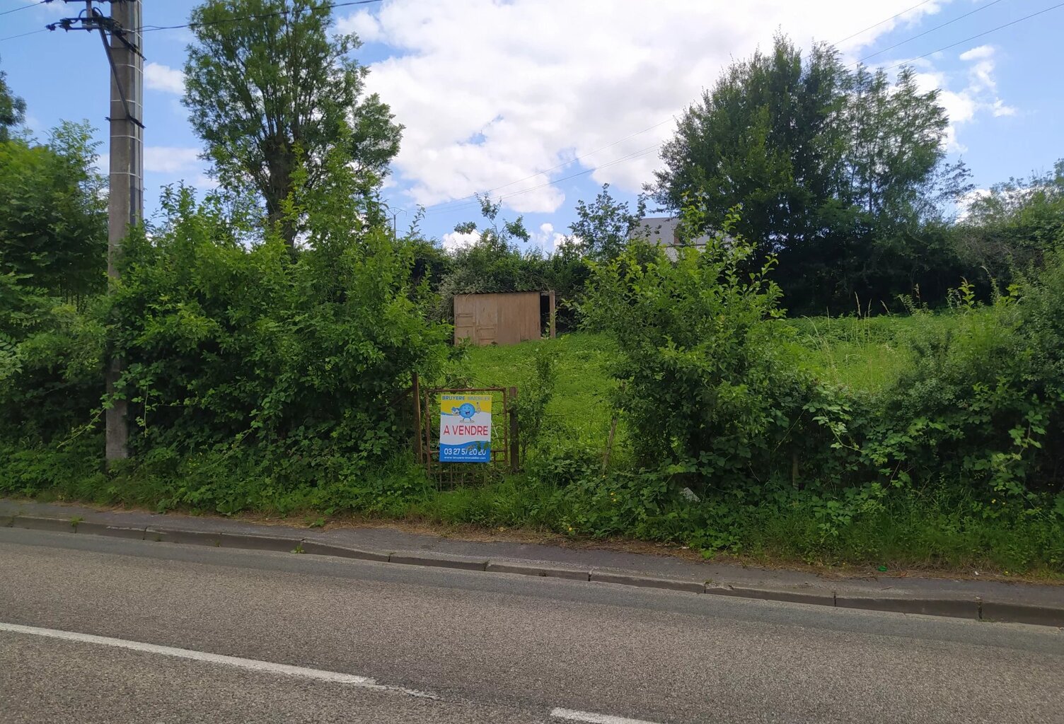 terrain — photo 1