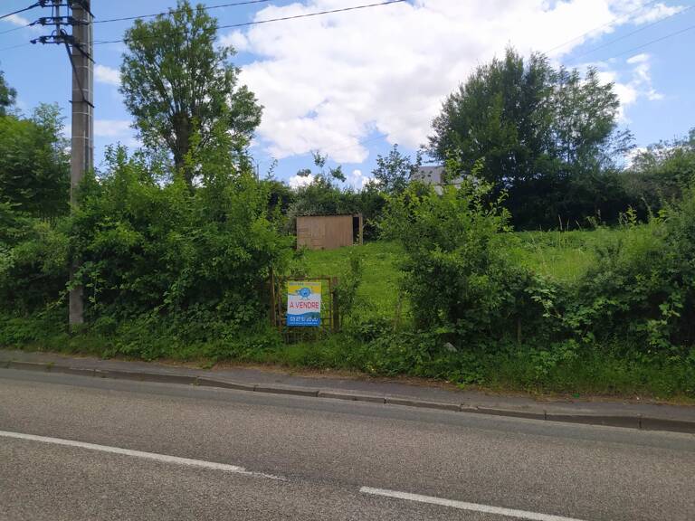 terrain — photo 1